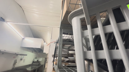 Exterminations nids de guêpes,frelons …